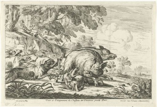 Wild Boar Hunt