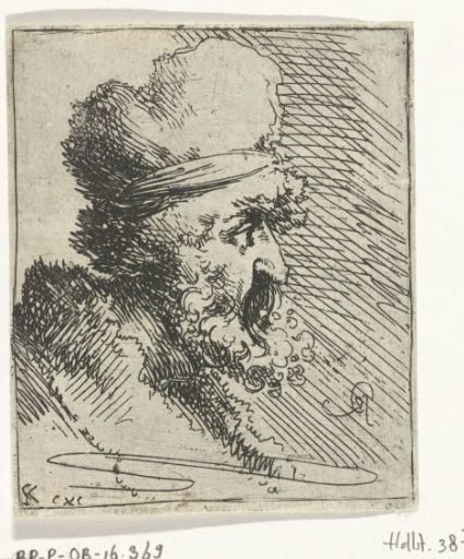 Head of a Man with Beard and Cap