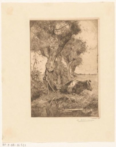 Resting Cow at the Water's Edge