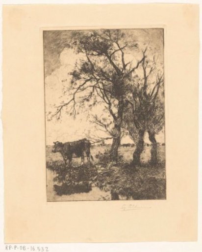 Cow at the Water's Edge
