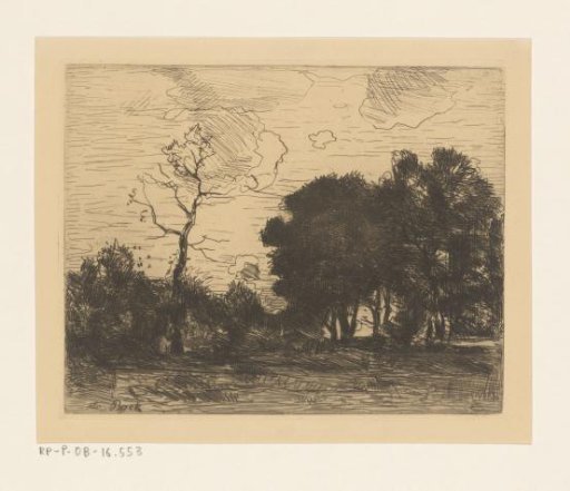 Landscape at Night