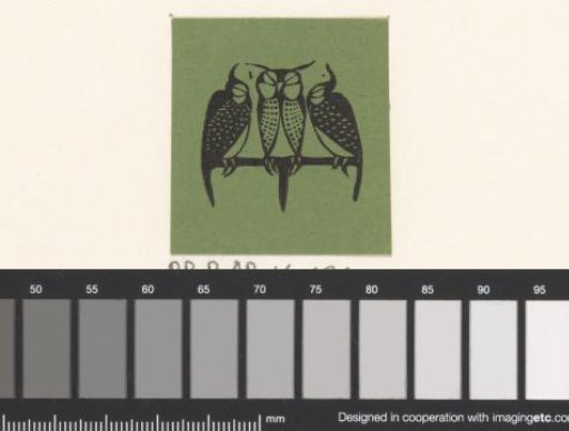 Vignette with three sleeping owls