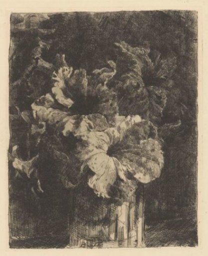 Petunias in a Glass Vase