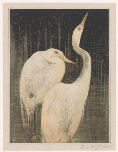Two Silver Herons