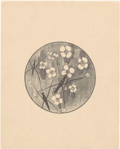 Announcement with insects and flowers for the series 'Animal Studies'