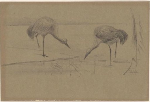 Greeting card with two cranes