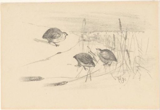 Greeting card with three partridges