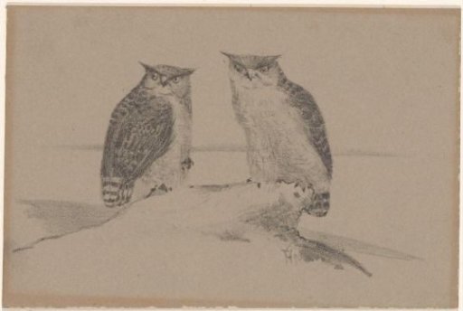 Greeting card with two owls