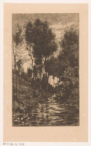 Stream in a wooded valley