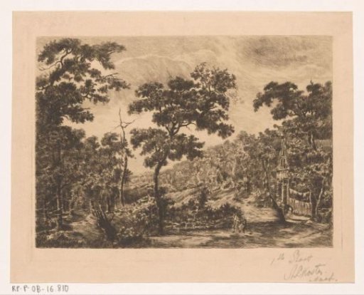 Hilly landscape with forest and wooden house
