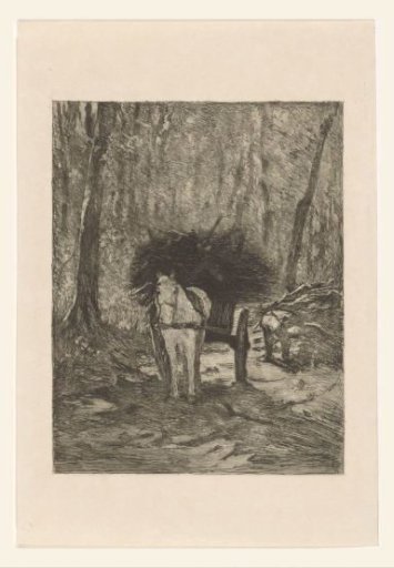 Man gathering sticks in a forest
