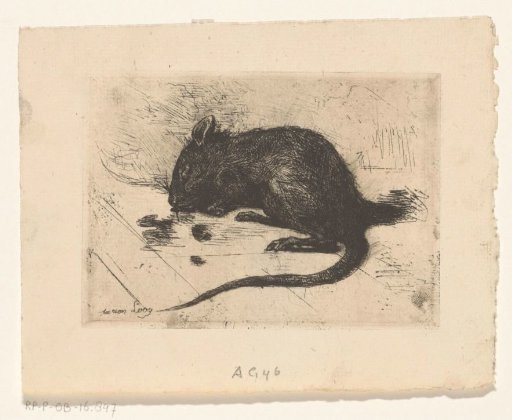 Mouse