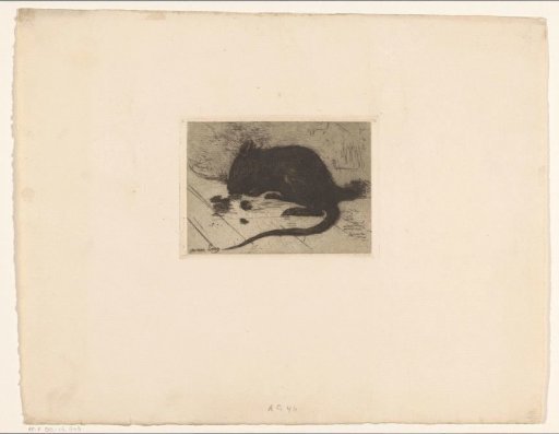 Mouse