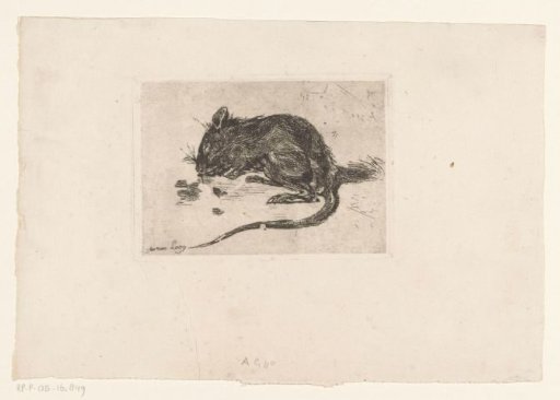 Mouse