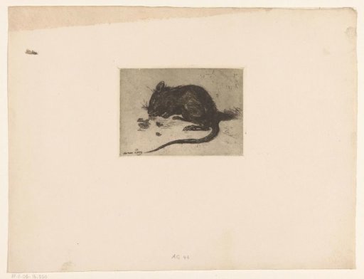 Mouse