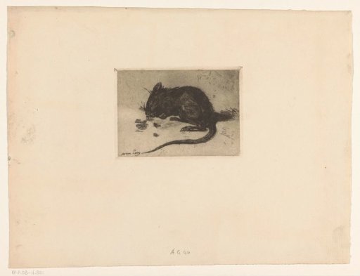 Mouse