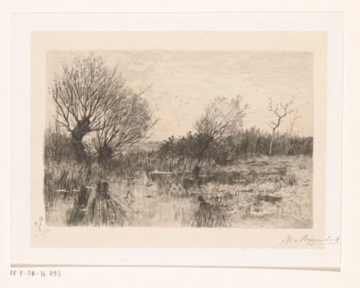 Pollard willows by the water