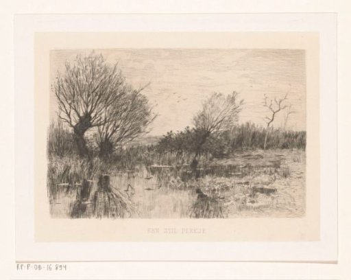 A quiet spot