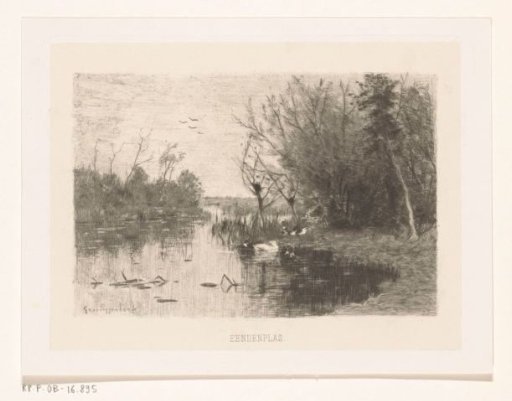 Duck pond