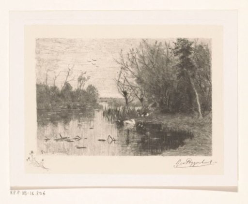Ducks along and on the bank of a pond