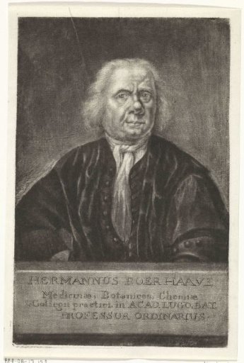 Portrait of Herman Boerhaave