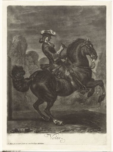 Black rearing horse