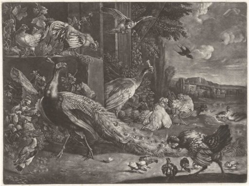 Landscape with birds