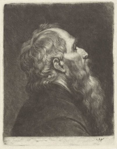Bust of a Man with a Beard, in Profile