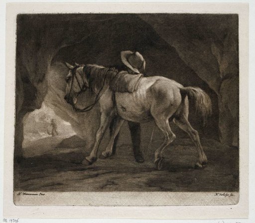 Urinating Horse