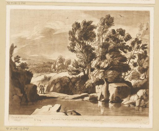 Trees and rocks by a stream