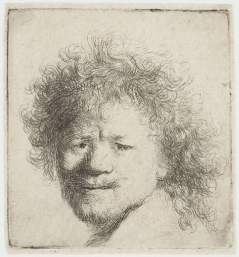 Self-portrait with long bushy hair: head only