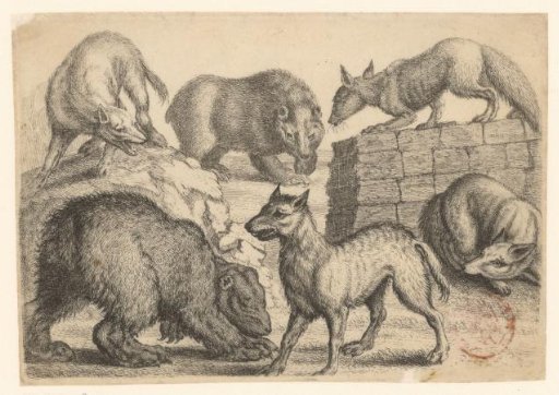 Two bears, two wolves and two foxes
