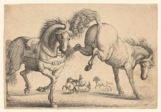 Saddled horse and horse without saddle
