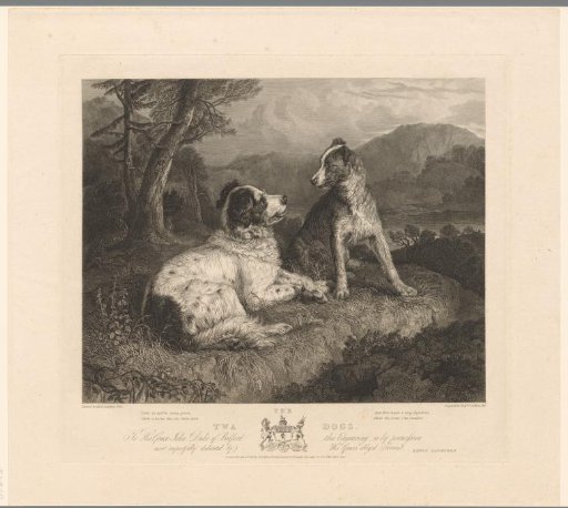 Two dogs in a landscape