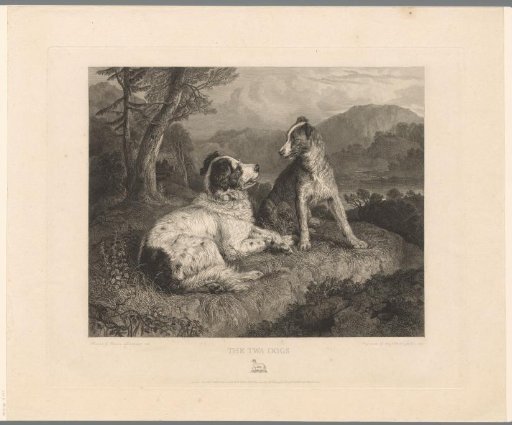 Two dogs in a landscape