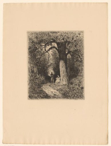 Forest path with walker and reading woman