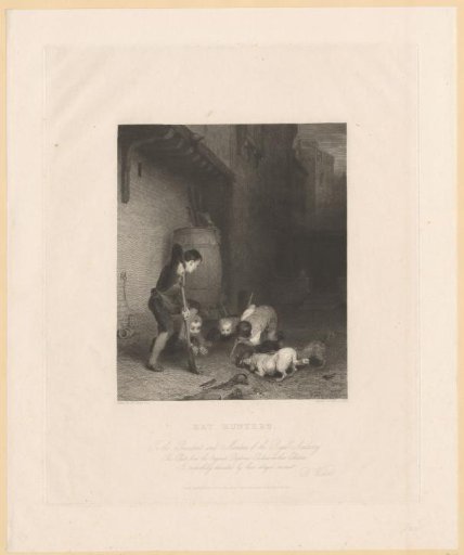 Four boys trying to drive rats out of their hole