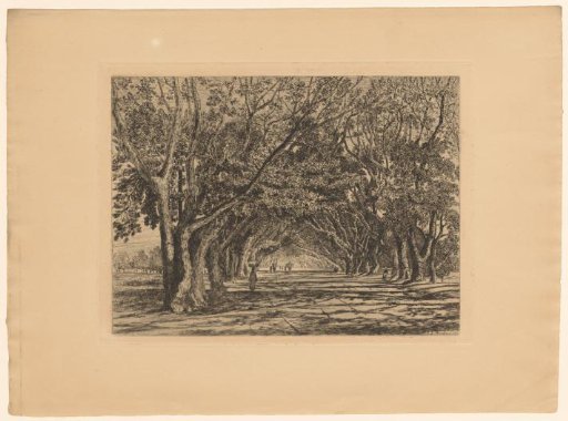 View of an avenue in Shubra in Cairo