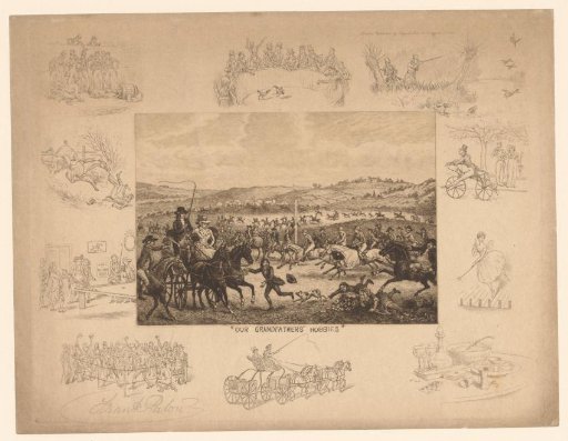 Horse race in the countryside