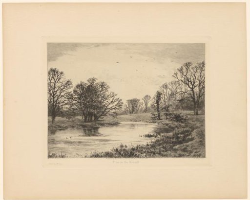 View of the Kennet River