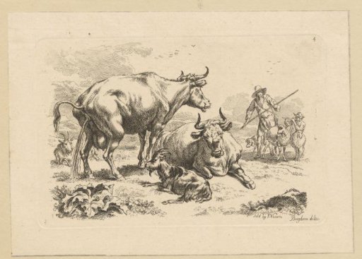 Urinating cow, a lying cow, goats and shepherds with sheep