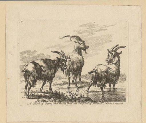 Three goats on a bank