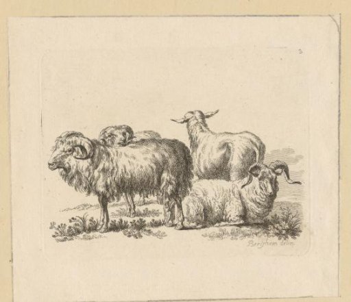 Three rams and a sheep
