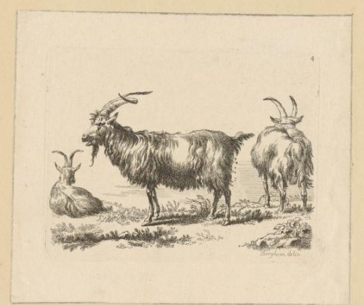 Three goats