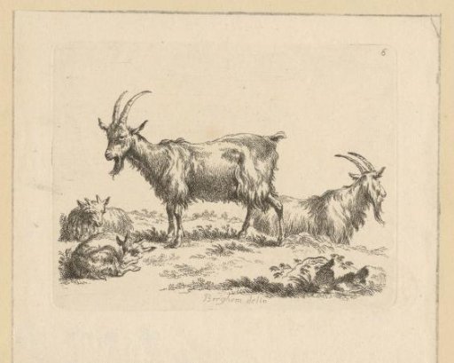 Two goats and two lambs