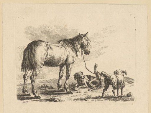Horse and two dogs