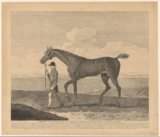 Sedbury the horse with jockey