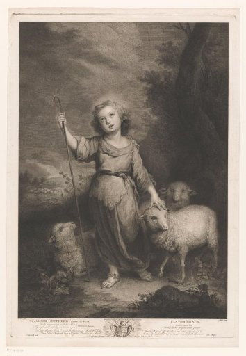 Young shepherd with lambs