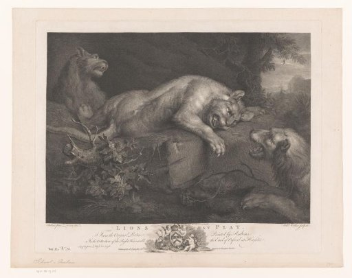Three Playing Lions