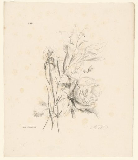 Lilies and a rose